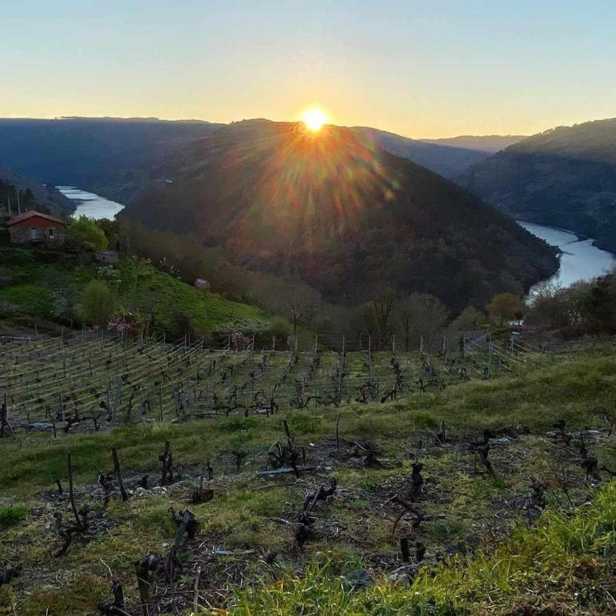A Airoa  Casa Das Xacias Ribeira Sacra מראה חיצוני תמונה