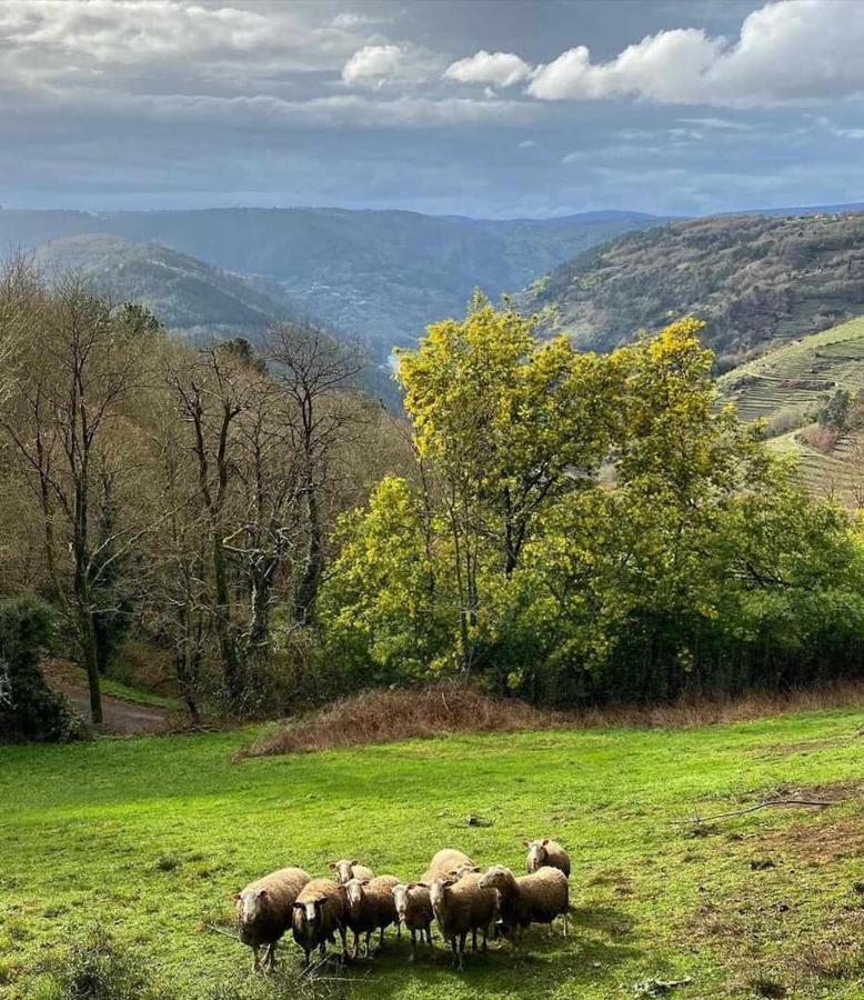 A Airoa  Casa Das Xacias Ribeira Sacra מראה חיצוני תמונה